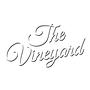 The Vineyard Belfast 