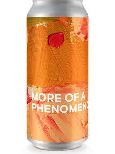 Boundary More of A Phenomenon IPA 6% abv 440ml Can