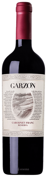 Garzon Cabernet Franc Reserve 2019 14% abv 750ml