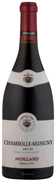 Moillard Chambolle Musigny 13% abv 75cl